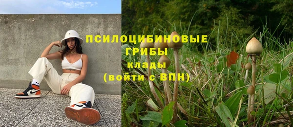 кокаин колумбия Инсар