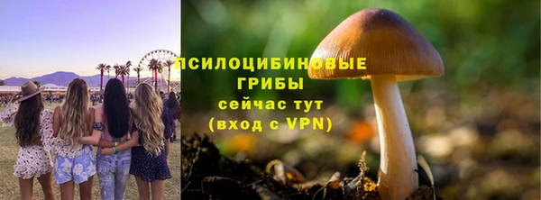 мдма Фёдоровский