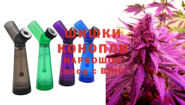 мдпв Нестеровская